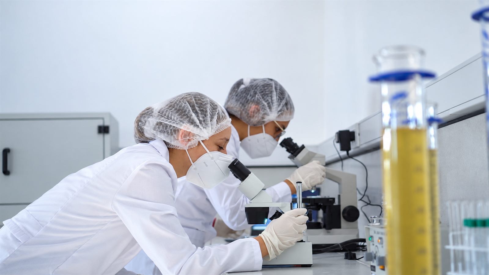 Dos investigadoras del equipo SBD observan muestras en microscopios de laboratorio.