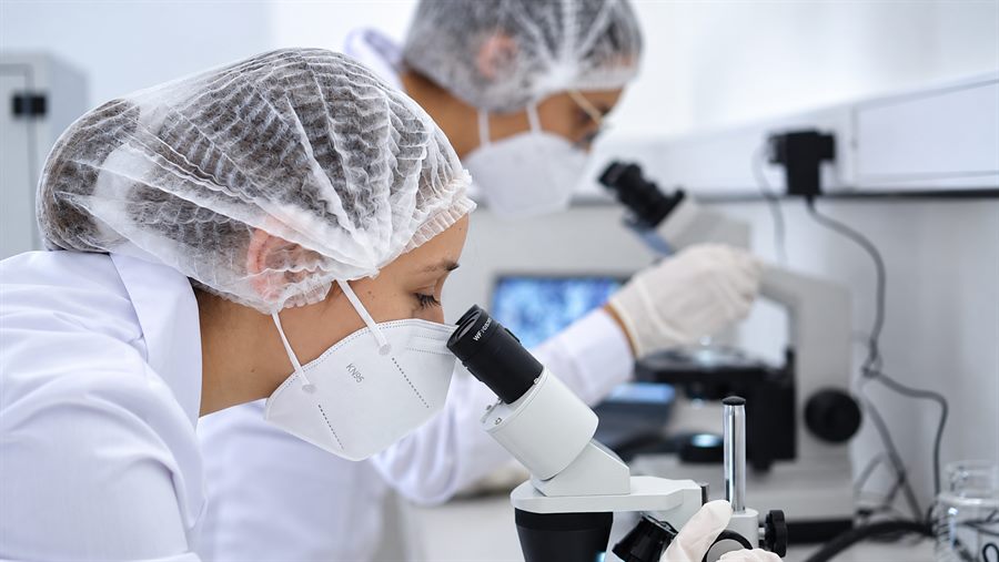 Investigadora observa una muestra al microscopio.